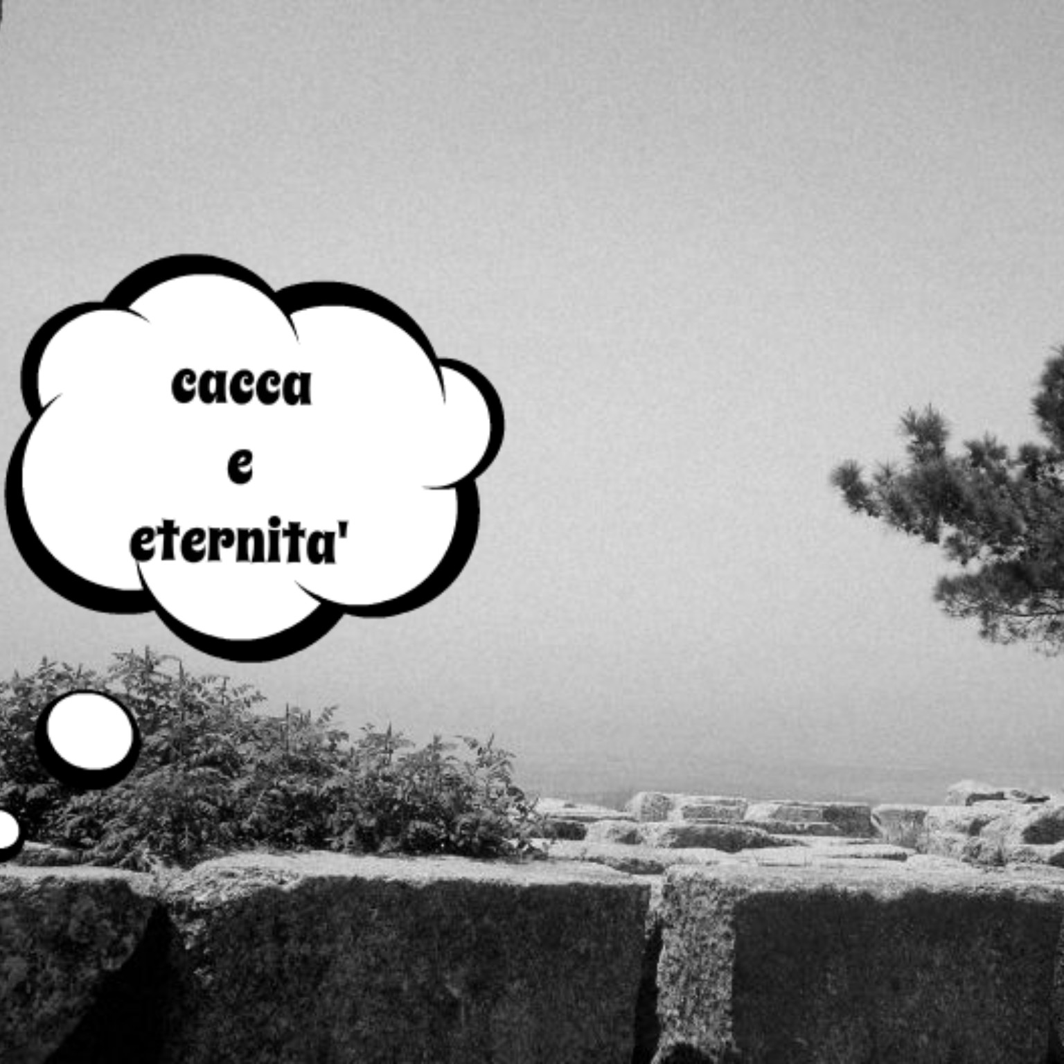 storie di cacca – 05 episode artwork