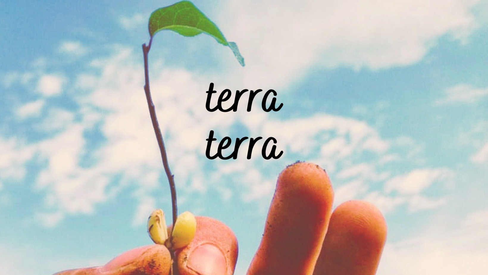 terra_terra_01x04 episode artwork