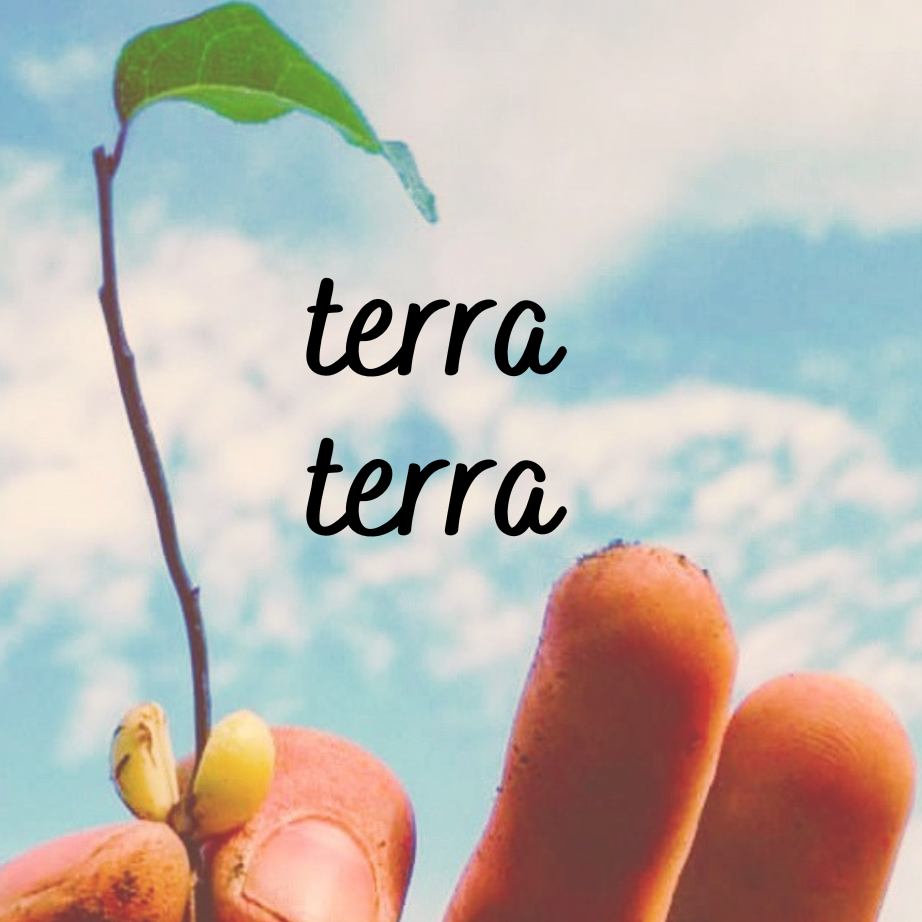 terra_terra_01x06 episode artwork